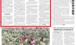 新疆民生爆料最新消息,聚焦民生热点，揭示社会现象