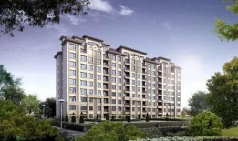 戈雅爆料最新动态,揭秘娱乐圈幕后真相