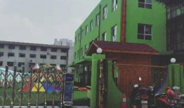 美七真实情况爆料最新消息,揭秘真实事件背后的惊人真相